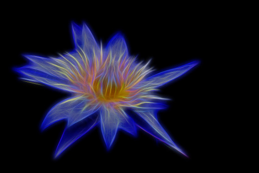 1122362 (a): :4272x2848